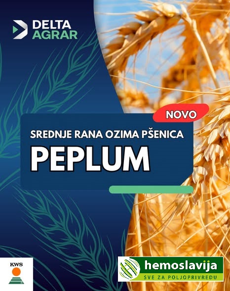 PEP